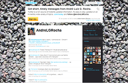 P&aacute;gina do Twitter